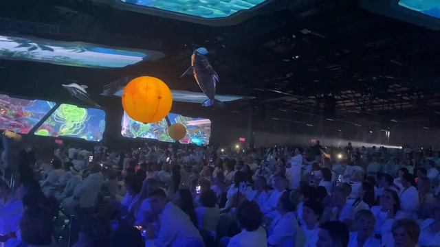 Радиоуправляемые Скульптуры ЛУНА ДЕЛЬФИНЫ на Мероприятие! Аренда Робот Мода www.robotmoda.ru смотреть онлайн