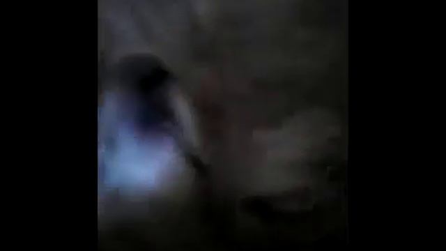 Моя собака джеся! смотреть онлайн