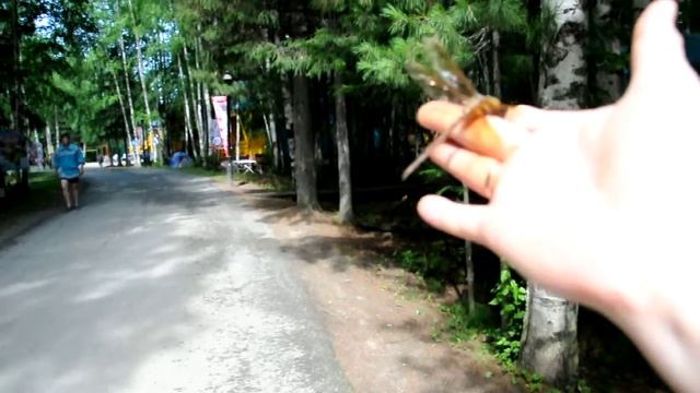 Смелая стрикоза смотреть онлайн