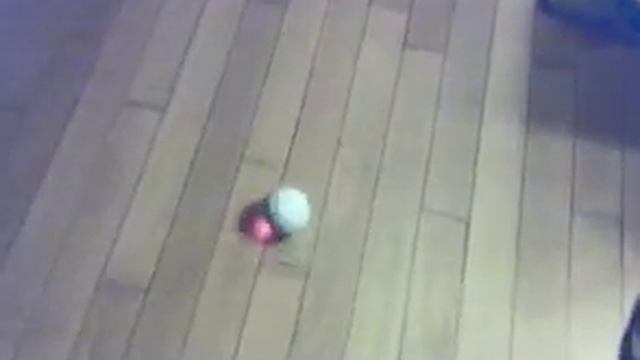 Rolling Pet Toy Ball смотреть онлайн