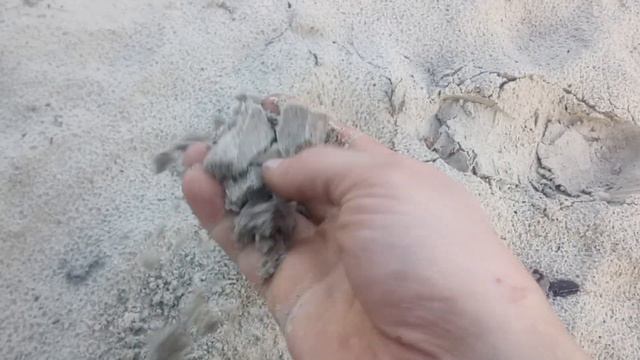 Во что мы садим тюльпан!))) смотреть онлайн