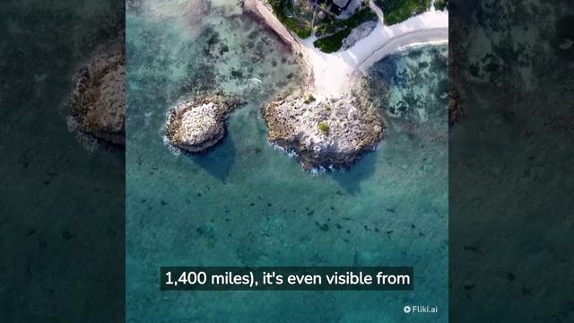 Fun Quick Facts смотреть онлайн