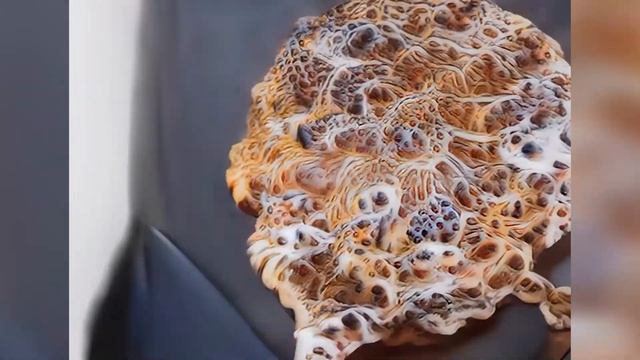 Дайджест по нейросетям #2. StyleGanXL + CLIP. StyleGan Human. RuDalle. CLIP VITL14@336px