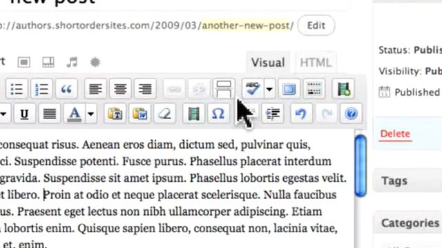 Using the Read More button in the WordPress visual editor смотреть онлайн