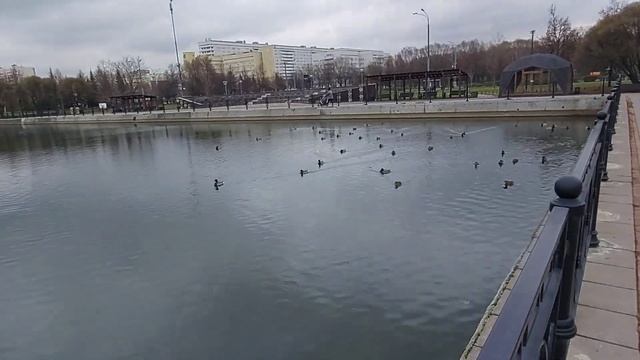 Отличное место. Парк у прудов Радуга. Ноябрь 2023.