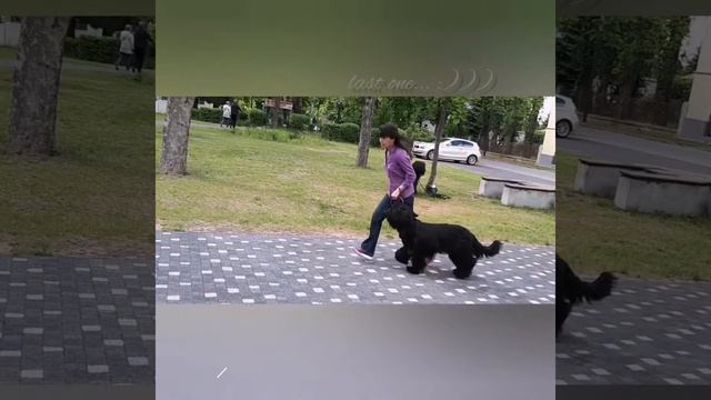Graphite du Tchibo d'Ebéne смотреть онлайн