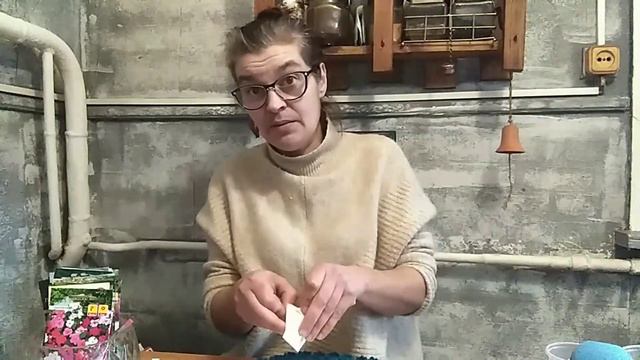 Сею лобелию ампельную САПФИР. смотреть онлайн