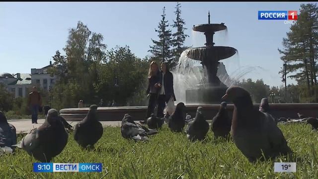 В Омске пройдут дожди смотреть онлайн