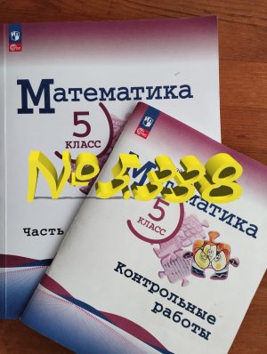 математика 5 класс номер 5.338