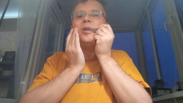 Опус на варгане Сергея Пыжова Эталон смотреть онлайн