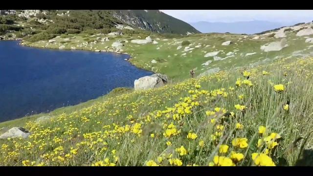 Х.Вихрен-З.Спано поле-Винарска-Типици-Тодорина порта-Х.Вихрен 🏃♂️🌄 смотреть онлайн