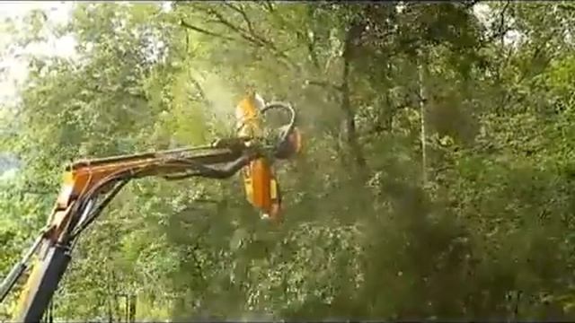 Дисковая пила для срезки кустов и веток TR 155 H смотреть онлайн