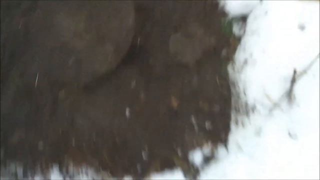 ФАРТ! ЧУГУННЫЕ КОЛЬЦА В ЛЕСУ. смотреть онлайн