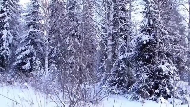 Какулена и Юра// Занудные жмоты// Обзор видео// смотреть онлайн