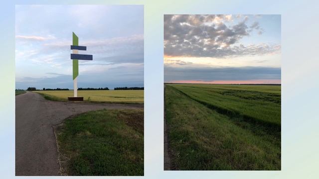 Моя родина смотреть онлайн