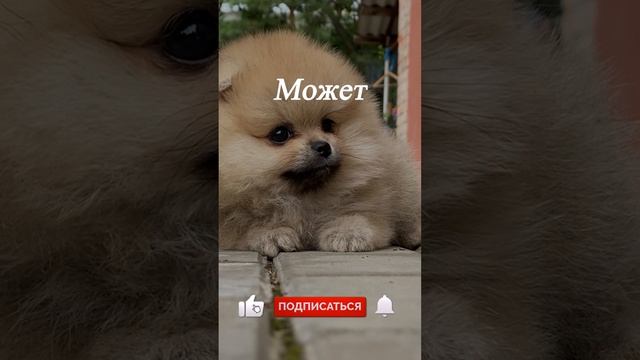 Может быть тебе ... смотреть онлайн