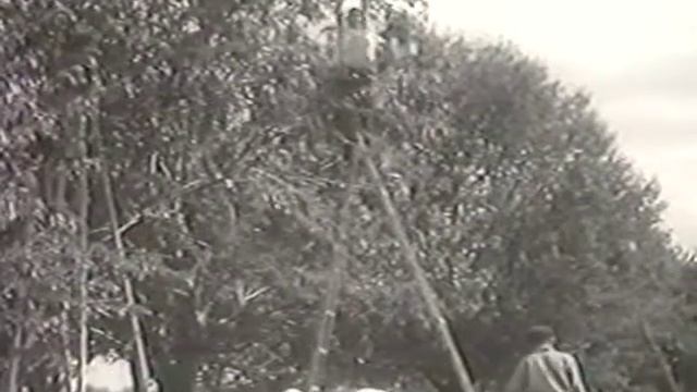 1956 №7 киножурнал сов.спорт смотреть онлайн