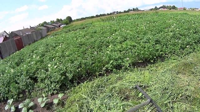 ЛЕТО! А ЗНАЧИТ ПОЛНО ДЕЛ В ДЕРЕВНЕ! ДЕРЕВЕНСКИЕ ТРУДОВЫЕ БУДНИ. УБИРАЕМ СЕНО.