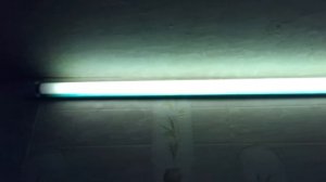 Как продлить срок службы люминесцентных флюоресцентных газоразрядных ламп с питанием от электронног