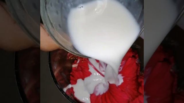 Hibiscus scrubber/ചെമ്പരത്തി scrubber.... #TTI# смотреть онлайн