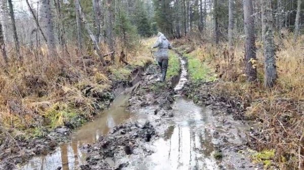 Маршрут к верхней точке Новосибирской области (506 высота)!