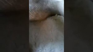 Фильтр для домашнего пруда своими руками ПРОСТО.