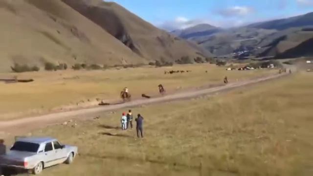 Скачки Курахский район село Курах. смотреть онлайн