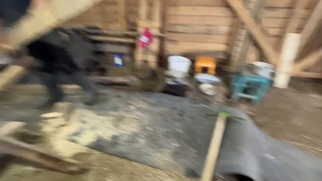 У НАС СБЕЖАЛА КОРОВА! РЕМОНТ НА ФЕРМЕ ПРОДОЛЖАЕТСЯ! НАША ФЕРМА! ЖИЗНЬ ПРОСТЫХ ЛЮДЕЙ В ДЕРЕВНЕ! смотреть онлайн