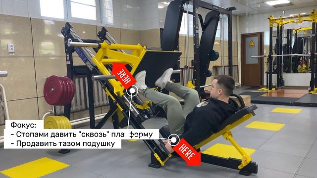 Жим платформы ногами смотреть онлайн