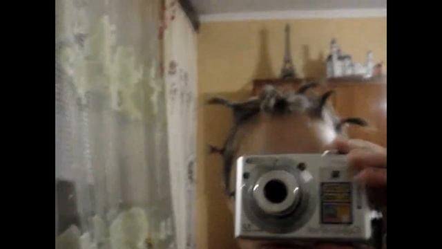 Самая смешная прическа для мальчиков!