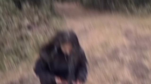 СДАЛИ ДЕВЯТОГО ПОЛИЦИИ!!! смотреть онлайн