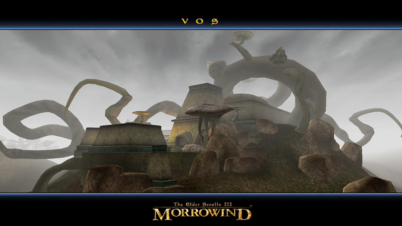 The Elder Scrolls III : Morrowind #11