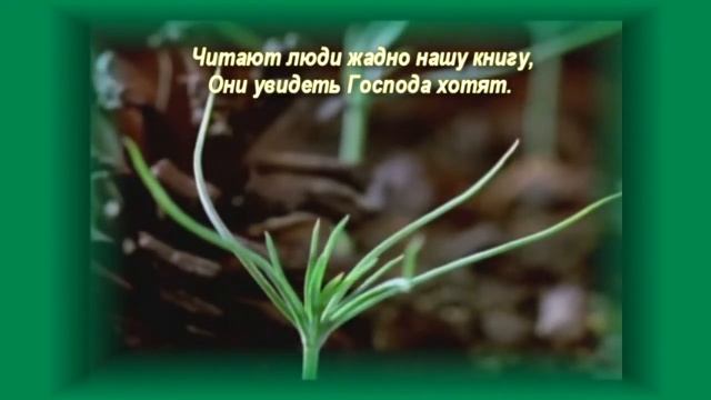 Детская песня "Письмо христово" смотреть онлайн