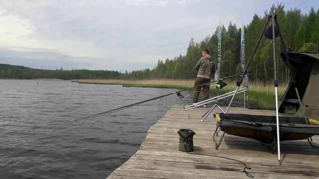 Оз.Черніца (Черница) Білорусія. сarpfishing. ловля в завоз. карпфишинг смотреть онлайн
