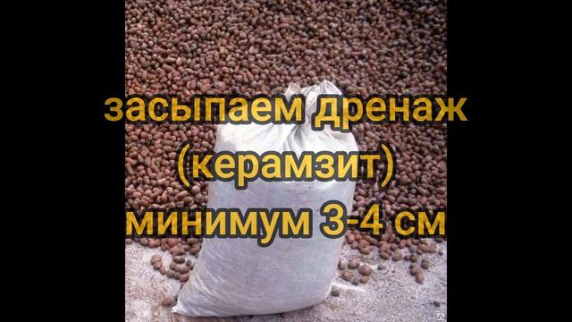 Клубника в трубе ПВХ.mp4 смотреть онлайн