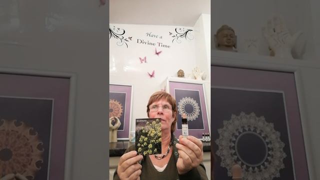 Mustard Bach flower remedy for frustration, deep gloom, depression. смотреть онлайн