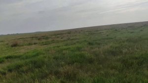 КОП ПО СТАРЫМ МЕСТАМ ХОРОШИЙ РЕЗУЛЬТАТ , металлоискатель #qvest x5 ,#квест х5 , новая катушка