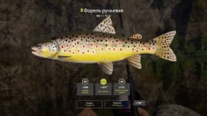 🎣 Рыбацкие будни #2: Поппер на р.Белая, 420 серебра / Русская рыбалка 4 / Russian fishing 4