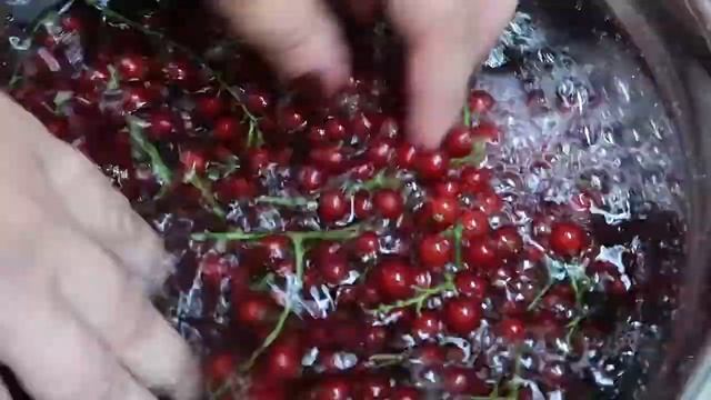 Компот из вишни и красной смородины на зиму. Компоты на зиму без стерилизации смотреть онлайн