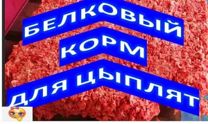 БЕЛКОВЫЙ КОРМ ДЛЯ ЦЫПЛЯТ
