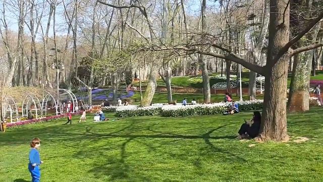 Фестиваль Тюльпанов 2018 Весна 2018 в Парке Гюльханэ Стамбул Цветочные узоры смотреть онлайн