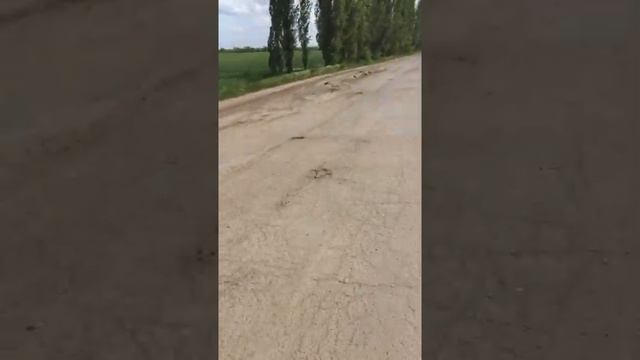 Дороги в Николаевской области Снигеревского района, село Александровка, ещё цветочки смотреть онлайн