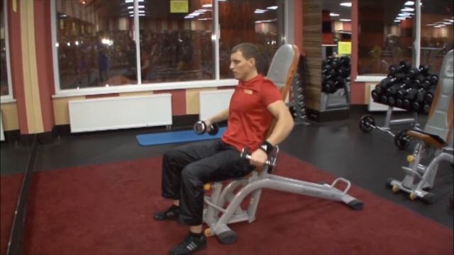 Упражнения на плечи разведение рук сидя с гантелями смотреть онлайн