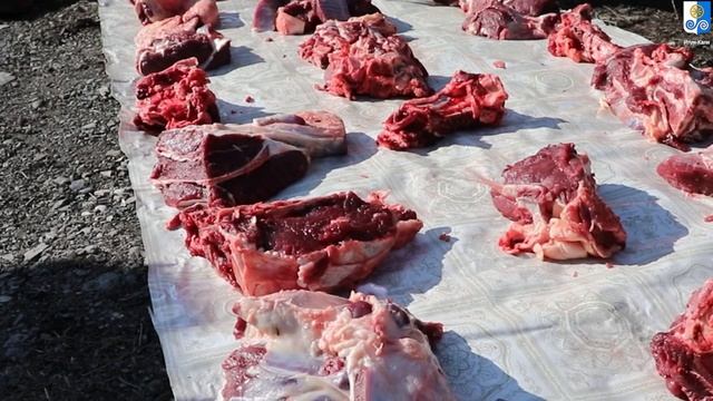 итум-Кали смотреть онлайн