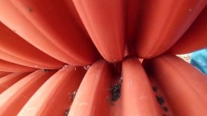 Дренажный колодец. Замена бетонным кольцам.