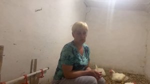 Почему выпадает клоака у цыплят бройлеров