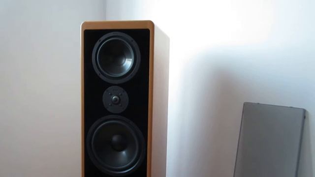 Denon Dnp-730ae , Technics Se-A1000m2 , Su-C1000m2 смотреть онлайн