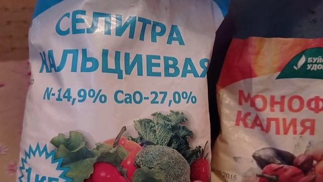 Бальзамин, пикировка вместе. 29.11.21 смотреть онлайн