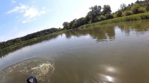 Электромотор Watersnake SXB54/26  по Траве