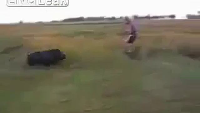 НЕУДАЧНАЯ ОХОТА НА КАБАНА смотреть онлайн